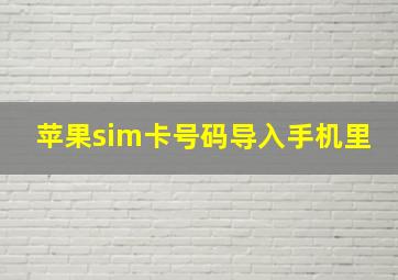 苹果sim卡号码导入手机里