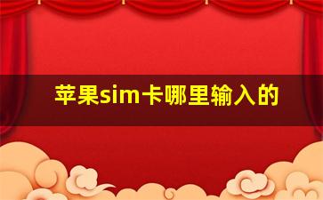 苹果sim卡哪里输入的