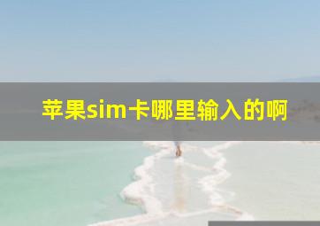 苹果sim卡哪里输入的啊