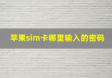 苹果sim卡哪里输入的密码