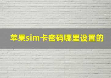 苹果sim卡密码哪里设置的