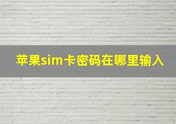 苹果sim卡密码在哪里输入