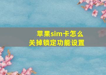 苹果sim卡怎么关掉锁定功能设置