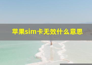 苹果sim卡无效什么意思