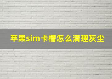 苹果sim卡槽怎么清理灰尘