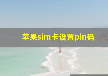 苹果sim卡设置pin码