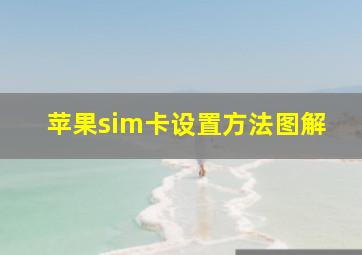 苹果sim卡设置方法图解