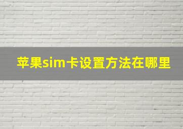 苹果sim卡设置方法在哪里