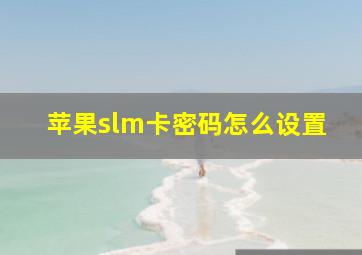 苹果slm卡密码怎么设置