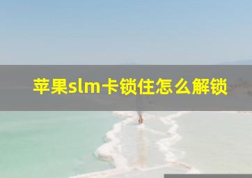 苹果slm卡锁住怎么解锁