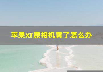 苹果xr原相机黄了怎么办