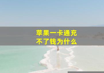 苹果一卡通充不了钱为什么