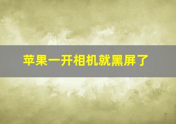 苹果一开相机就黑屏了