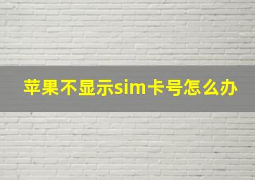 苹果不显示sim卡号怎么办