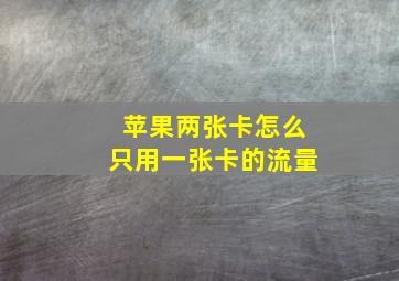 苹果两张卡怎么只用一张卡的流量