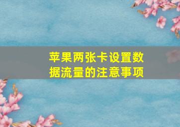 苹果两张卡设置数据流量的注意事项