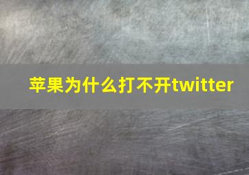 苹果为什么打不开twitter