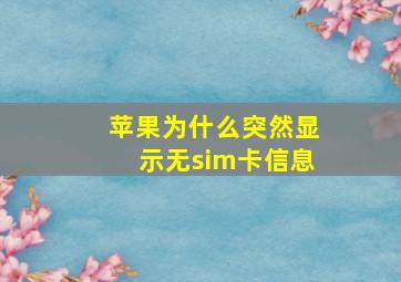 苹果为什么突然显示无sim卡信息