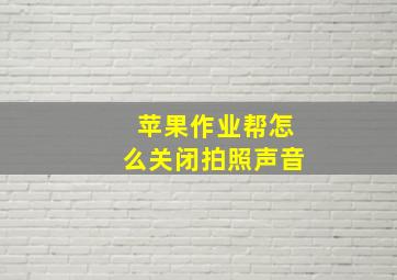 苹果作业帮怎么关闭拍照声音