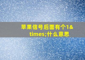 苹果信号后面有个1×什么意思