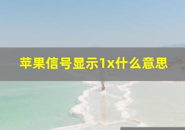 苹果信号显示1x什么意思