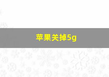 苹果关掉5g