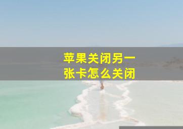 苹果关闭另一张卡怎么关闭