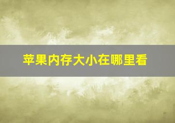 苹果内存大小在哪里看