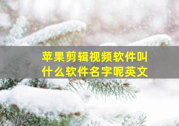 苹果剪辑视频软件叫什么软件名字呢英文