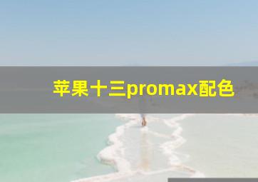 苹果十三promax配色