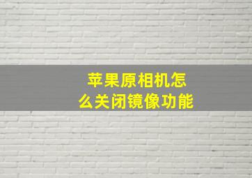 苹果原相机怎么关闭镜像功能