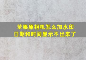 苹果原相机怎么加水印日期和时间显示不出来了