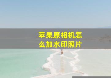 苹果原相机怎么加水印照片