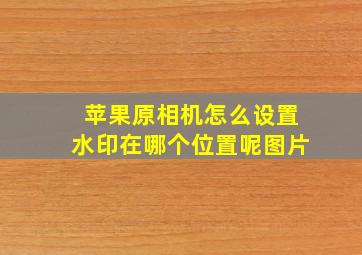 苹果原相机怎么设置水印在哪个位置呢图片