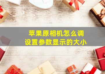 苹果原相机怎么调设置参数显示的大小