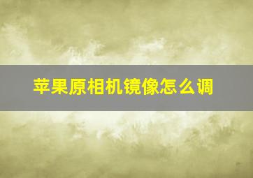 苹果原相机镜像怎么调