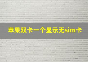 苹果双卡一个显示无sim卡