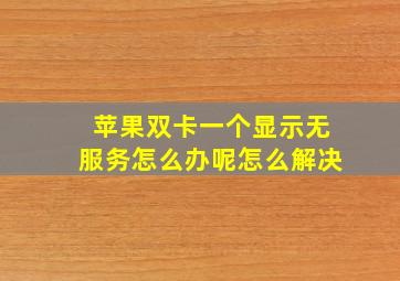 苹果双卡一个显示无服务怎么办呢怎么解决