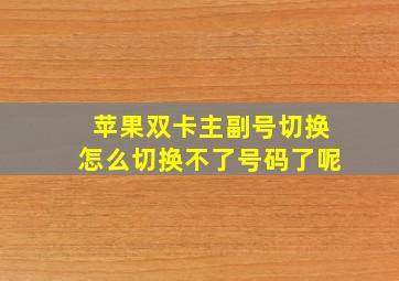 苹果双卡主副号切换怎么切换不了号码了呢