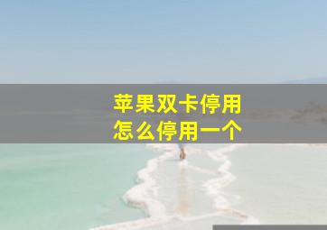 苹果双卡停用怎么停用一个