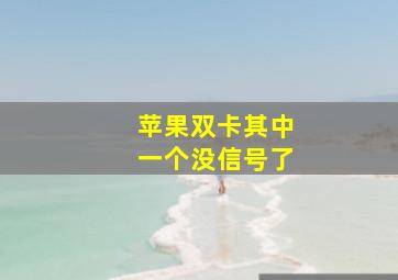 苹果双卡其中一个没信号了