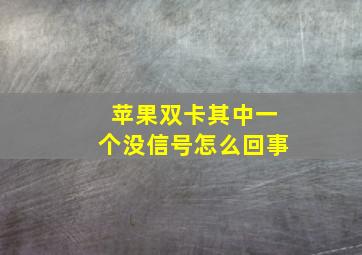 苹果双卡其中一个没信号怎么回事