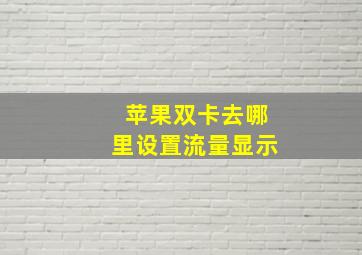 苹果双卡去哪里设置流量显示