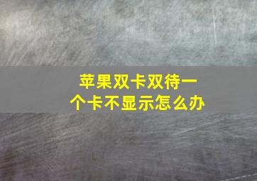 苹果双卡双待一个卡不显示怎么办