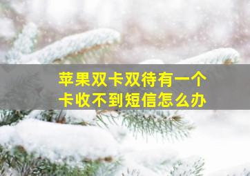 苹果双卡双待有一个卡收不到短信怎么办