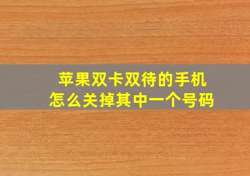 苹果双卡双待的手机怎么关掉其中一个号码