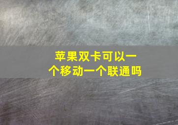 苹果双卡可以一个移动一个联通吗