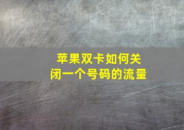 苹果双卡如何关闭一个号码的流量