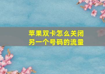 苹果双卡怎么关闭另一个号码的流量