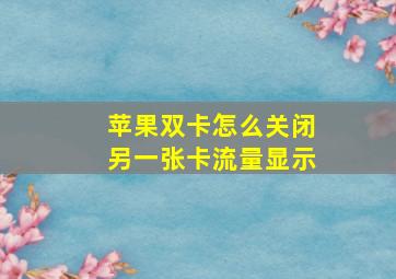 苹果双卡怎么关闭另一张卡流量显示